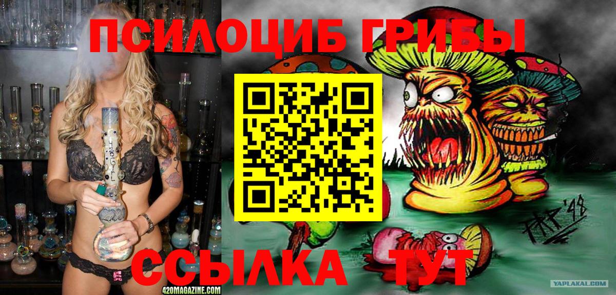 Азов  Галлюциногенные грибы Psilocybe  сколько стоит  Вход с VPN 